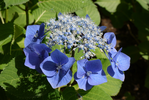 f:id:gzutetsu:20130622142222j:image