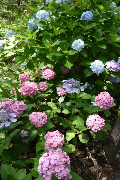 f:id:gzutetsu:20130622142558j:image