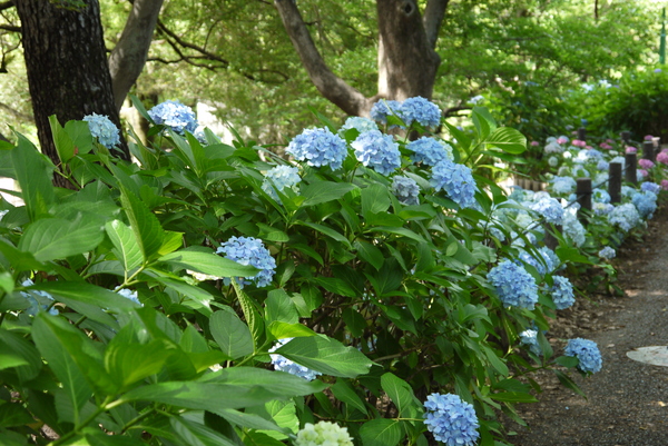 f:id:gzutetsu:20130622143308j:image