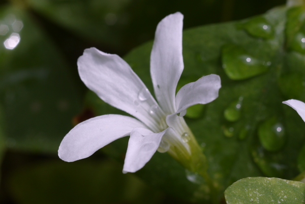 f:id:gzutetsu:20130721100941j:image f:id:gzutetsu:20130721100941j:image