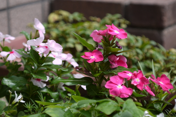 f:id:gzutetsu:20130721102637j:image f:id:gzutetsu:20130721102637j:image