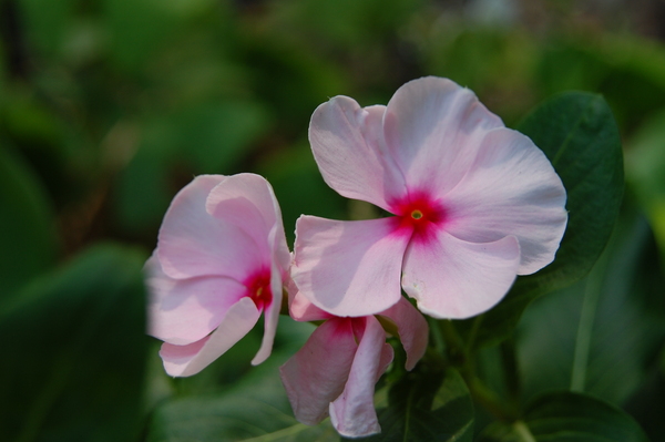 f:id:gzutetsu:20130721150952j:image f:id:gzutetsu:20130721150952j:image