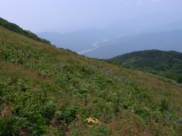 f:id:gzutetsu:20130816113858j:image