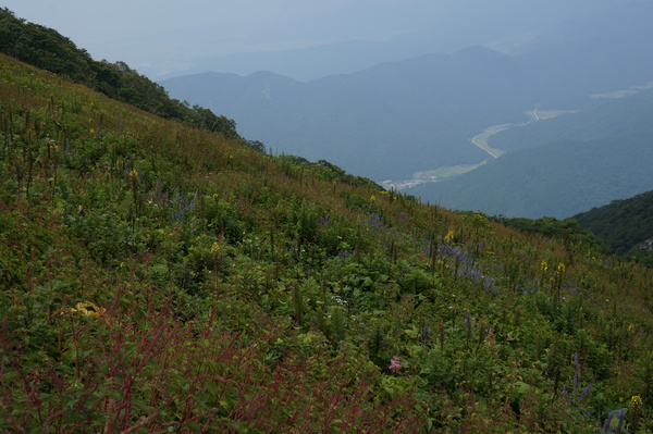 f:id:gzutetsu:20130816114202j:image
