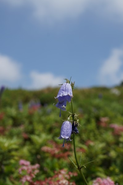 f:id:gzutetsu:20130816120535j:image