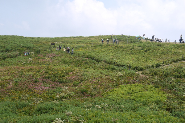 f:id:gzutetsu:20130816124032j:image