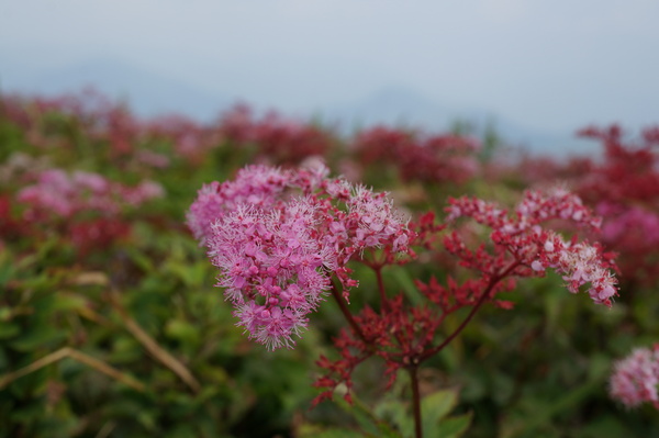 f:id:gzutetsu:20130816124531j:image
