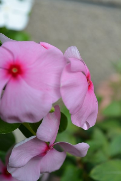 f:id:gzutetsu:20130901093713j:image