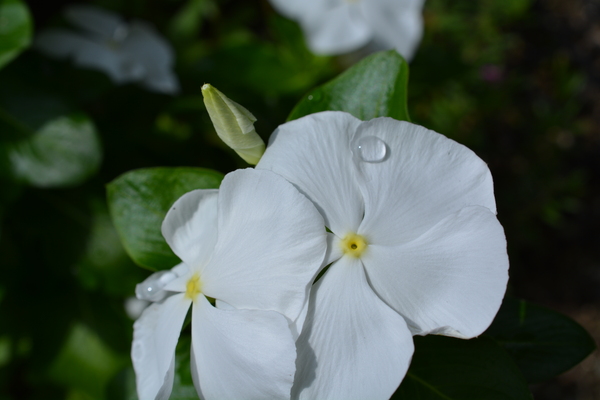 f:id:gzutetsu:20130901094318j:image