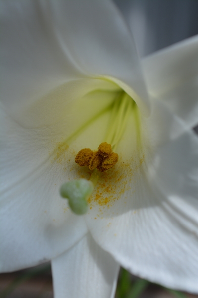 f:id:gzutetsu:20130901094506j:image