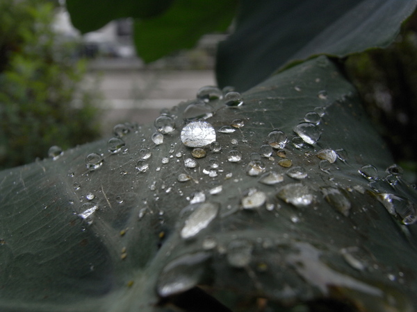 f:id:gzutetsu:20130902102549j:image f:id:gzutetsu:20130902102549j:image