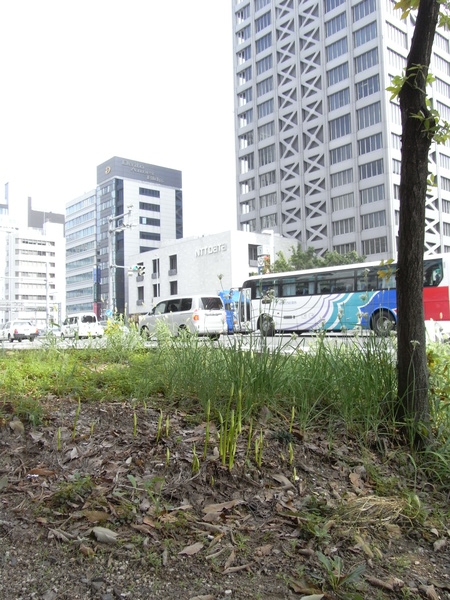f:id:gzutetsu:20130912103422j:image