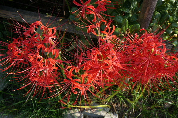 f:id:gzutetsu:20130922144410j:image