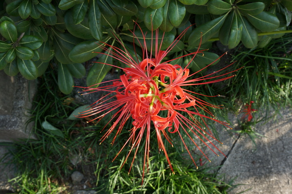 f:id:gzutetsu:20130922144737j:image