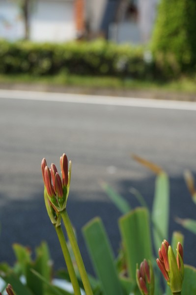 f:id:gzutetsu:20130922145502j:image