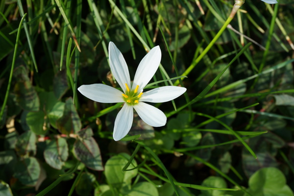 f:id:gzutetsu:20130922150109j:image