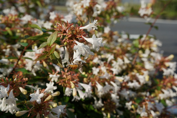 f:id:gzutetsu:20130922150154j:image