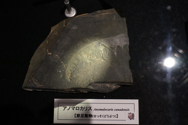 f:id:gzutetsu:20131012121928j:image