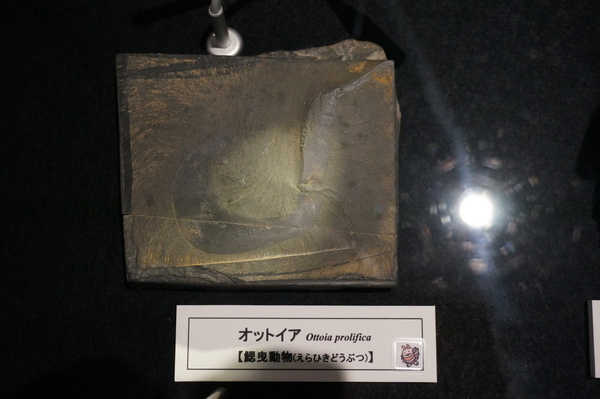 f:id:gzutetsu:20131012121943j:image