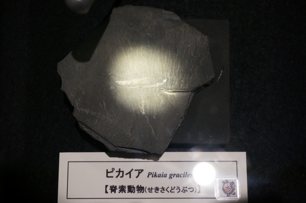 f:id:gzutetsu:20131012122055j:image