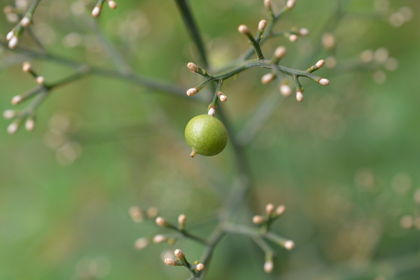 f:id:gzutetsu:20131014092615j:image