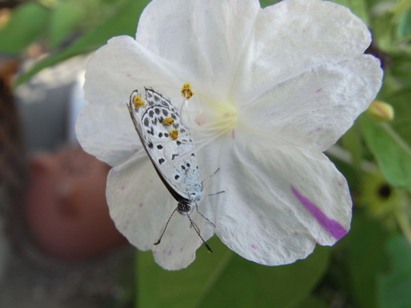 f:id:gzutetsu:20131102180622j:image