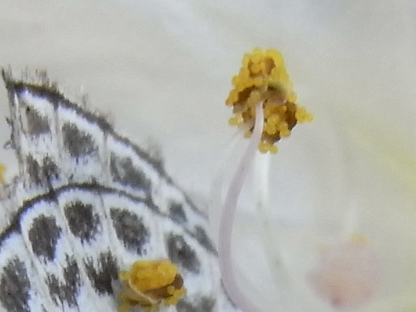 f:id:gzutetsu:20131102182542j:image