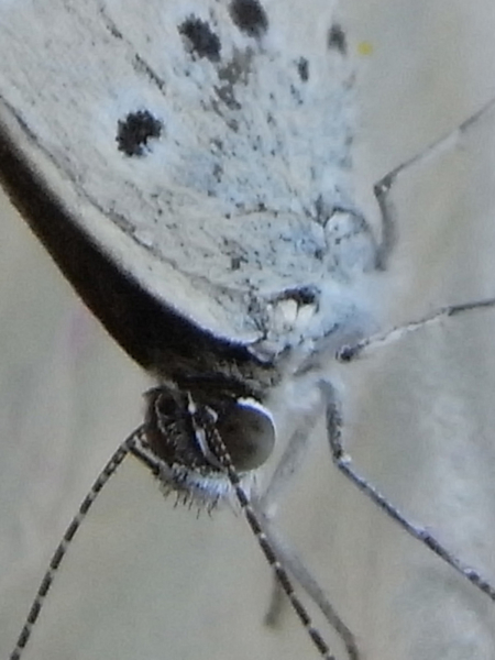 f:id:gzutetsu:20131102182543j:image