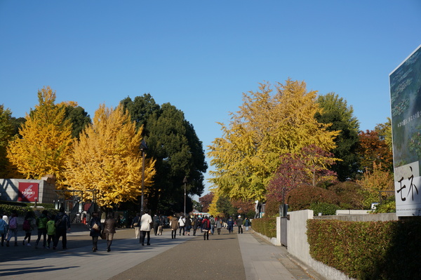 f:id:gzutetsu:20131124091330j:image f:id:gzutetsu:20131124091330j:image