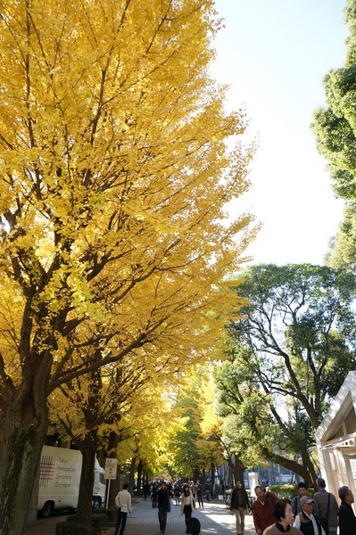 f:id:gzutetsu:20131124113025j:image f:id:gzutetsu:20131124113025j:image