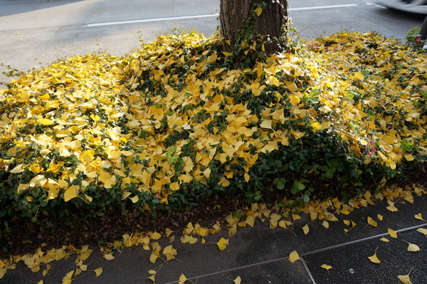 f:id:gzutetsu:20131202092441j:image