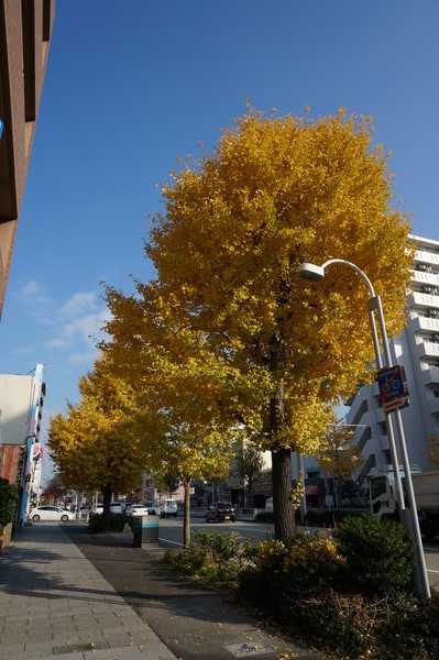 f:id:gzutetsu:20131202092519j:image