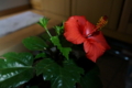 20131204232556