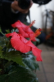 20131205075458