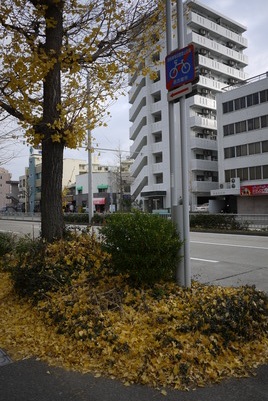 f:id:gzutetsu:20131211083824j:image