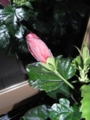 20131219075250