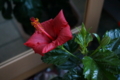 20131220075832