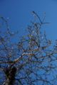 20131220110148