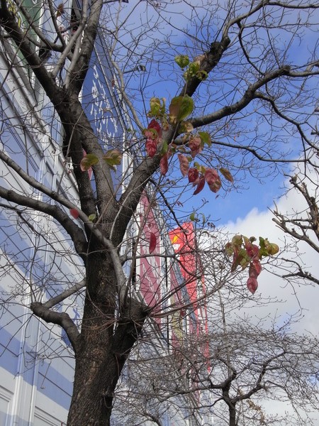 f:id:gzutetsu:20131221111501j:image