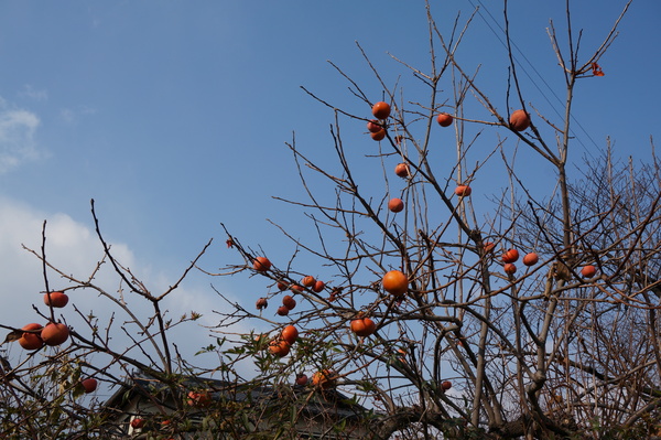 f:id:gzutetsu:20140101114438j:image