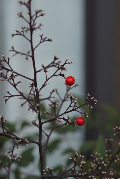 f:id:gzutetsu:20140101161208j:image