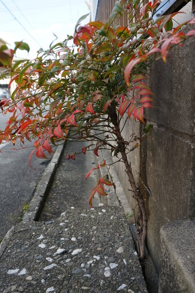 f:id:gzutetsu:20140102144314j:image