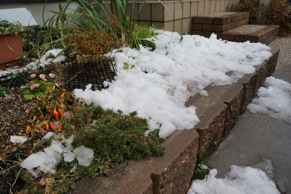 f:id:gzutetsu:20140208145503j:image f:id:gzutetsu:20140208145503j:image