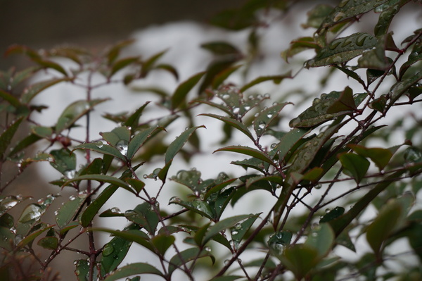 f:id:gzutetsu:20140208145526j:image f:id:gzutetsu:20140208145526j:image