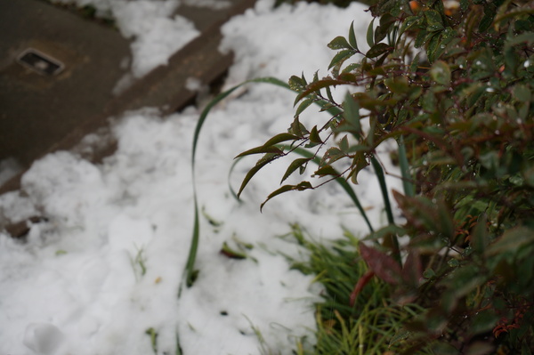 f:id:gzutetsu:20140208145606j:image f:id:gzutetsu:20140208145606j:image