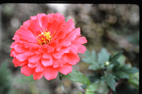 f:id:gzutetsu:20140211100858j:image f:id:gzutetsu:20140211100858j:image