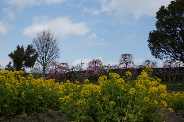 f:id:gzutetsu:20140308113819j:image f:id:gzutetsu:20140308113819j:image