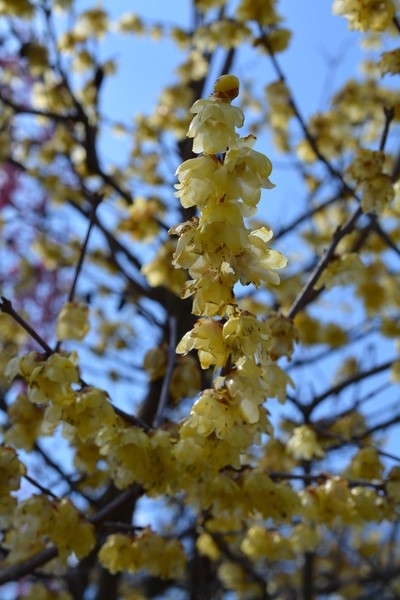 f:id:gzutetsu:20140308115322j:image f:id:gzutetsu:20140308115322j:image