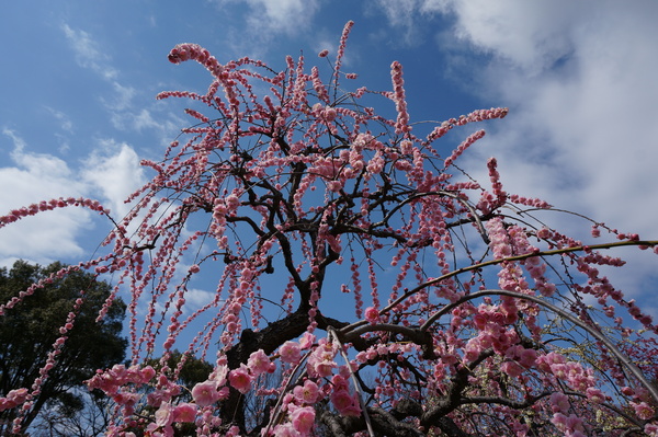 f:id:gzutetsu:20140308120327j:image f:id:gzutetsu:20140308120327j:image