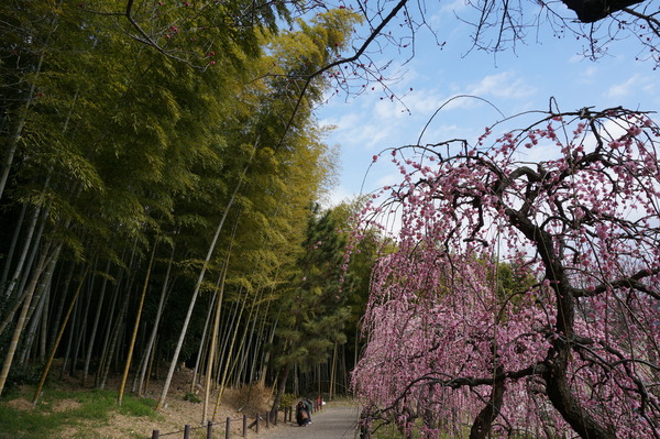 f:id:gzutetsu:20140308121528j:image f:id:gzutetsu:20140308121528j:image